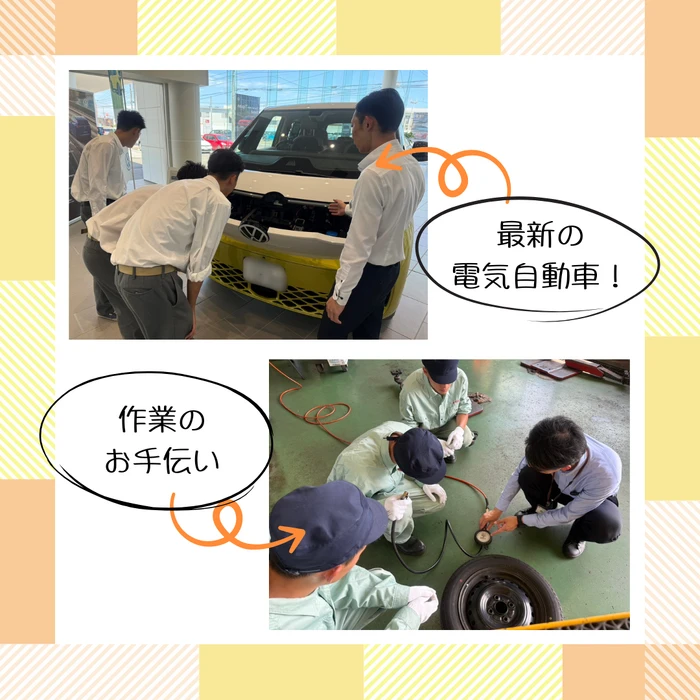 高校生がフォルクスワーゲンの車を見たり、ダイハツで軽作業を手伝っている写真です。